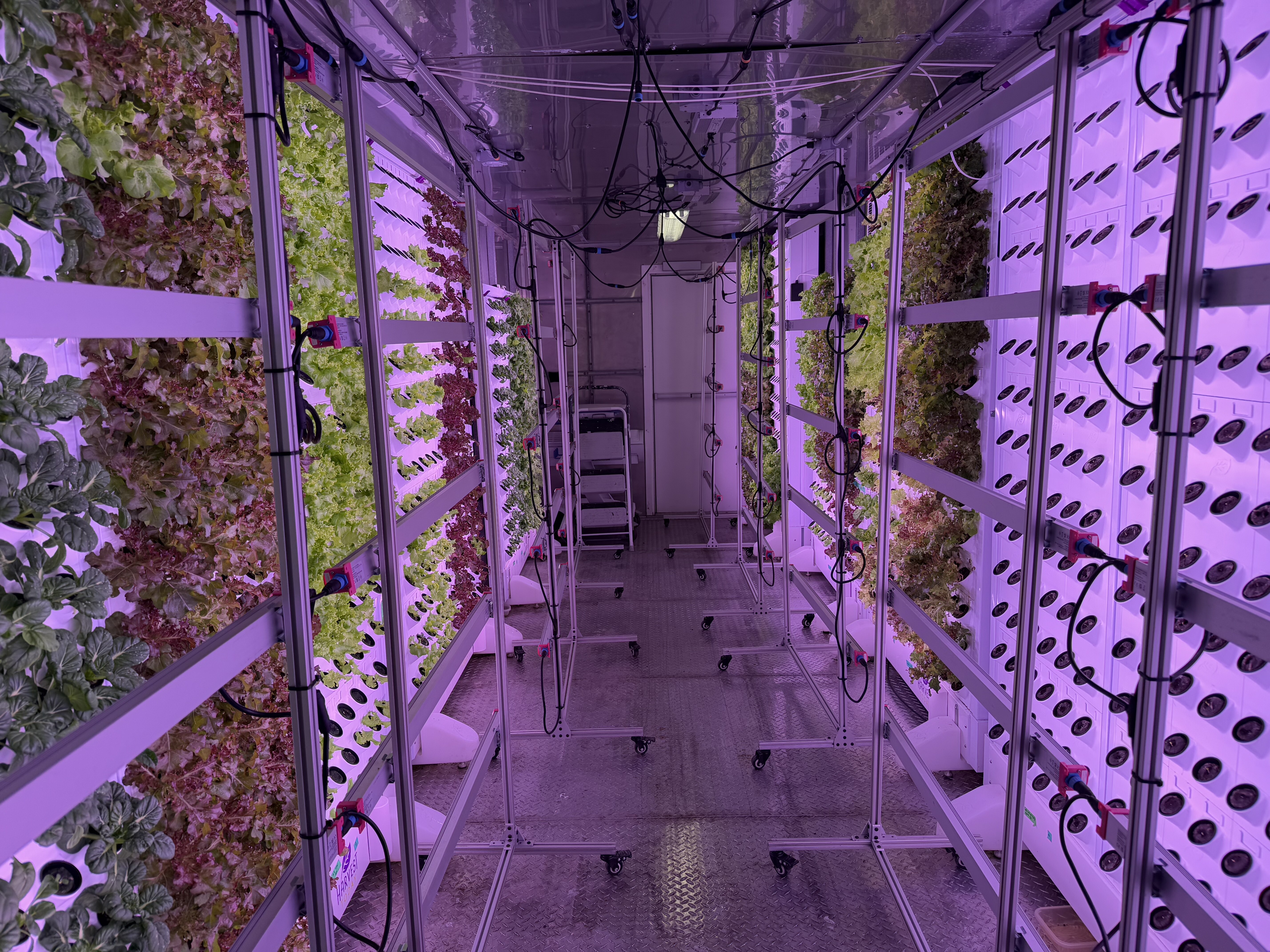 Commercial indoor vertical farming facility